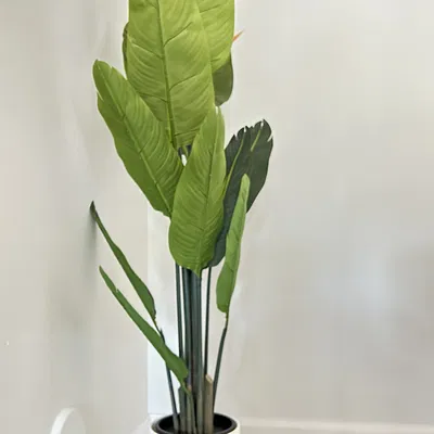 Giá đỡ chậu cây hiện đại 6 inch của Jordan Proctor Designs