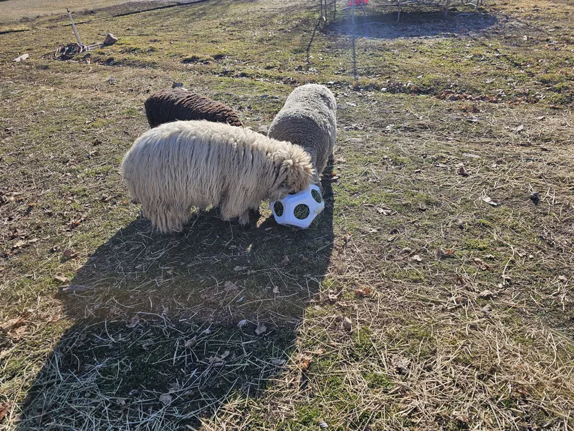 Bóng cỏ cho gia súc in 3D - Image 1