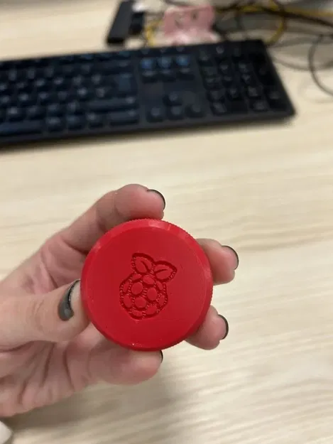 Nắp hộp thẻ SD có biểu tượng Raspberry Pi nổi bật - Image 2