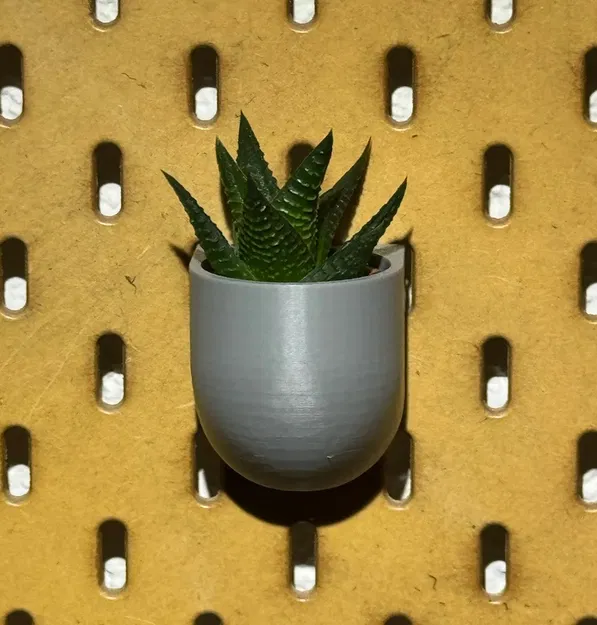 Chậu hoa SKADIS thiết kế treo tường cho cây succulents - Image 1