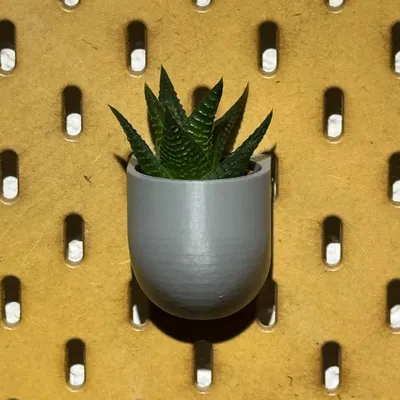 Chậu hoa SKADIS thiết kế treo tường cho cây succulents