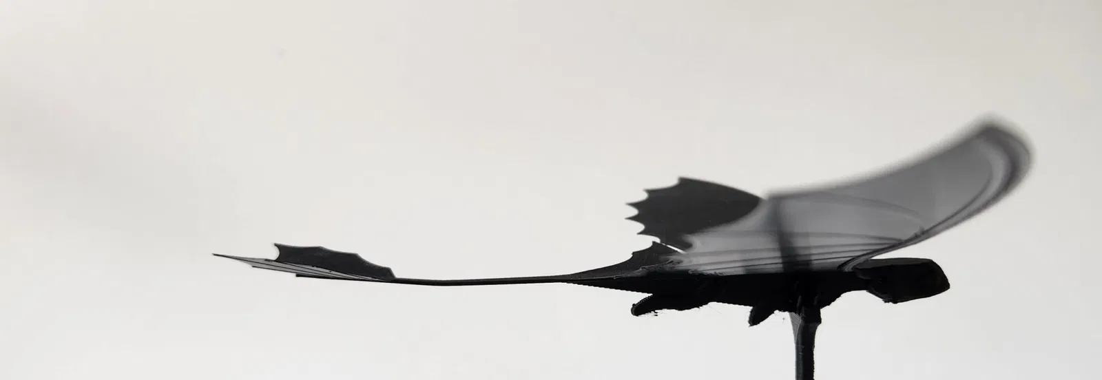 Glider theo hình dáng rồng Nightfury - Image 5