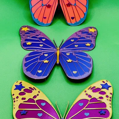 Bướm Nhiều Màu Sắc Cho Người Yêu Thích Hình Dạng và Màu Sắc