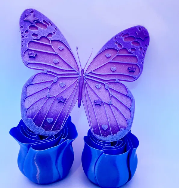 Bướm Nhiều Màu Sắc Cho Người Yêu Thích Hình Dạng và Màu Sắc - Image 4
