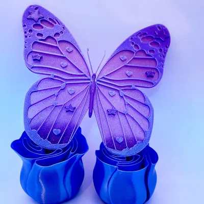 Bướm Nhiều Màu Sắc Cho Người Yêu Thích Hình Dạng và Màu Sắc