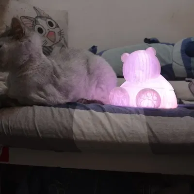 Đèn chụp hình gấu ngồi dễ thương