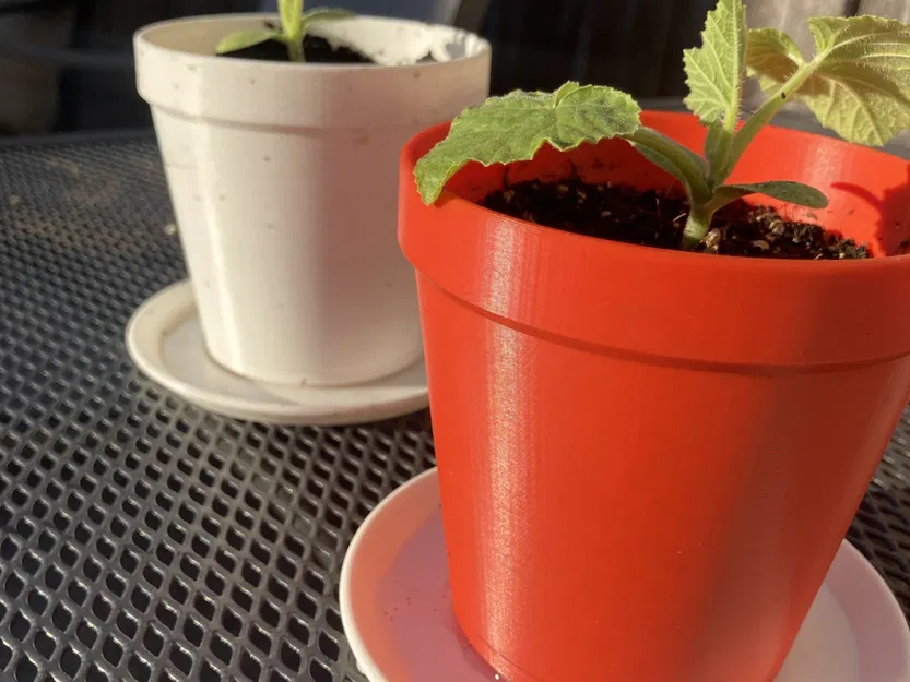 Chậu cây Not-A-Clay độc đáo cho trang trí nhà cửa - Image 1