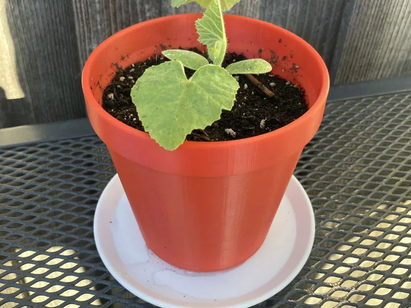 Chậu cây Not-A-Clay độc đáo cho trang trí nhà cửa - Image 2