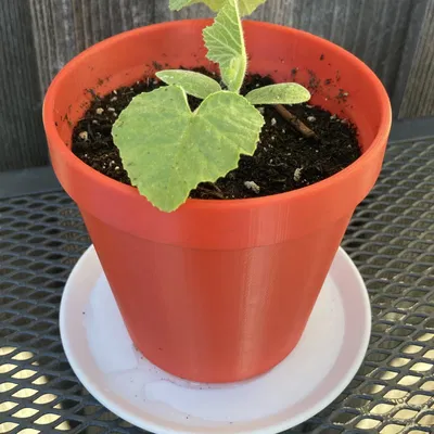 Chậu cây Not-A-Clay độc đáo cho trang trí nhà cửa