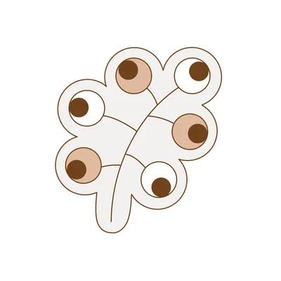 Cutter bánh quy hình hoa