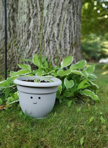 Chậu hoa đơn giản nhưng tuyệt vời - Image 1