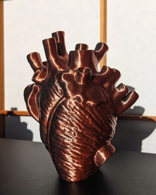 Trái tim giải phẫu tự đứng không cần hỗ trợ - Image 2