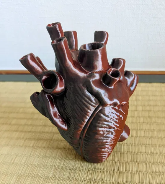 Trái tim giải phẫu tự đứng không cần hỗ trợ - Image 3