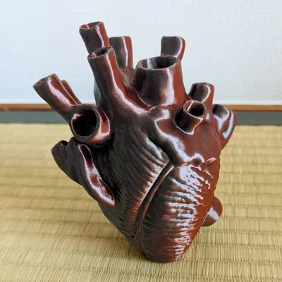 Trái tim giải phẫu tự đứng không cần hỗ trợ