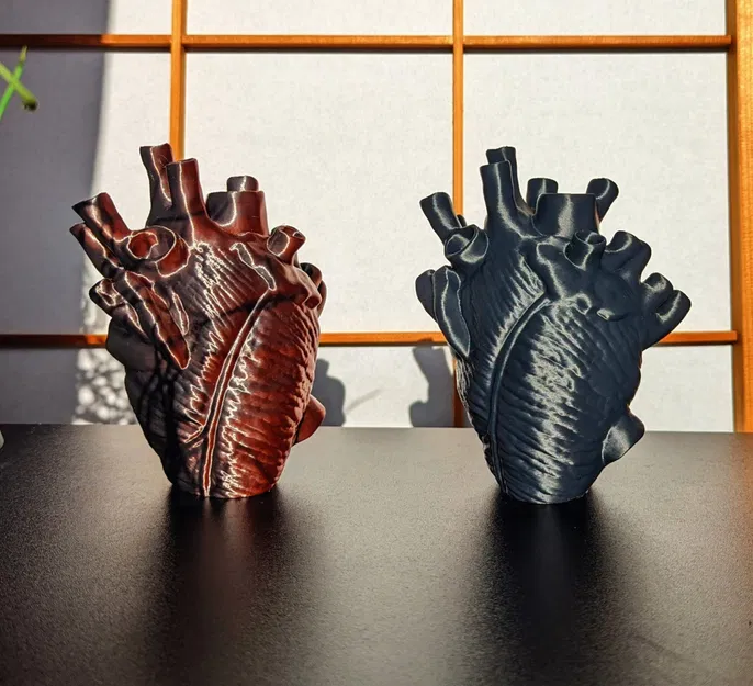 Trái tim giải phẫu tự đứng không cần hỗ trợ - Image 4