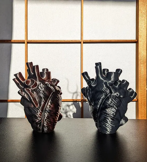 Trái tim giải phẫu tự đứng không cần hỗ trợ - Image 5