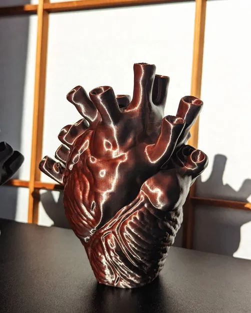 Trái tim giải phẫu tự đứng không cần hỗ trợ - Image 6