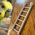 Thang leo cho chim vẹt giúp thư giãn trong lồng nuôi - Thumbnail 1