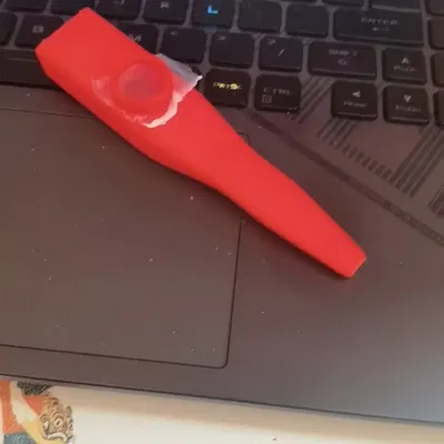 Kazoo - Nhạc cụ vui tươi cho trẻ em