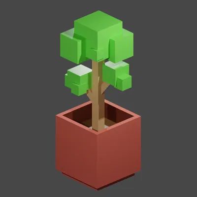 Cây trong chậu phong cách low-poly ấn tượng