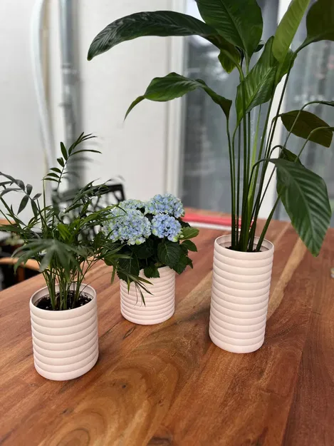 Chậu cây hiện đại hình tròn và hình vuông trang trí nội thất - Image 1