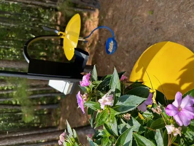 Giá đỡ camera Wyze cho móc cắm đôi ngoài trời - Image 2