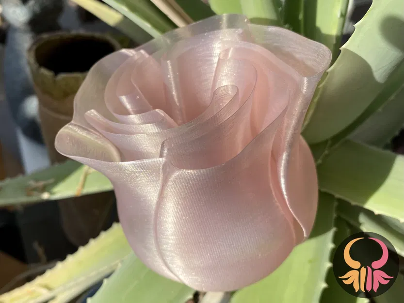 Bình hoa hồng thiết kế in chế độ xoắn ốc - Image 1