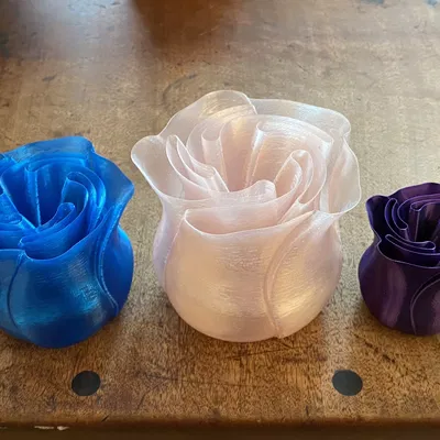 Bình hoa hồng thiết kế in chế độ xoắn ốc