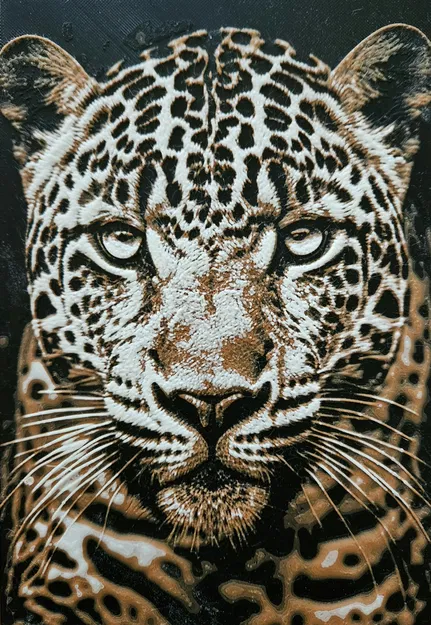 Mặt báo đốm với ba màu sắc độc đáo - Image 1