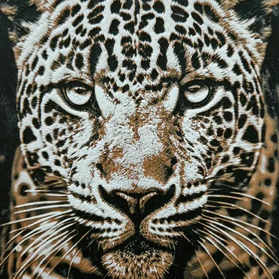 Mặt báo đốm với ba màu sắc độc đáo