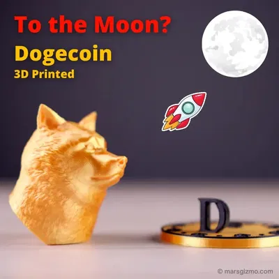 Doge Coin - Biểu tượng tiền điện tử bay lên không trung