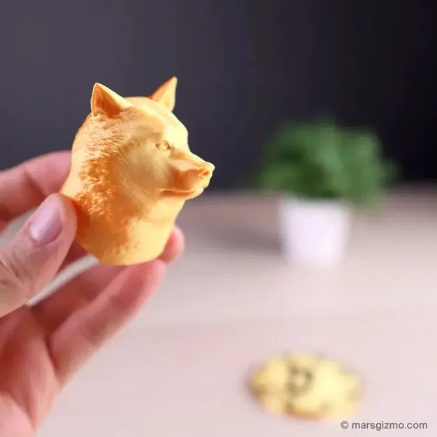 Doge Coin - Biểu tượng tiền điện tử bay lên không trung - Image 3