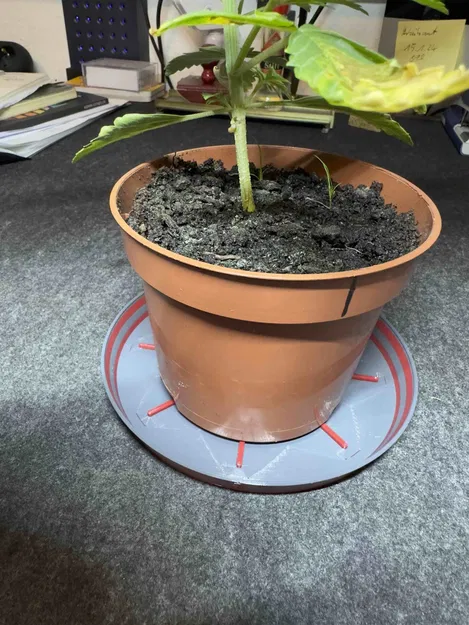 Đế ly đa sắc cho chậu hoa - Image 2