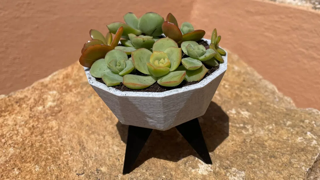 Chậu cây đa năng kiểu dáng thấp với bốn chân - Image 1