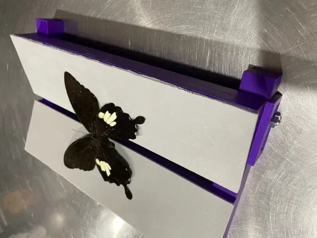 Bảng trải V điều chỉnh cho côn trùng có cánh - Image 2