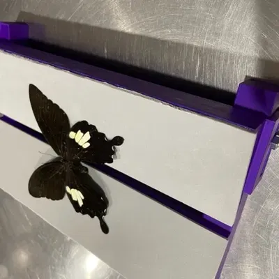 Bảng trải V điều chỉnh cho côn trùng có cánh