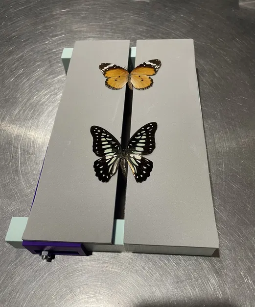 Bảng phẳng điều chỉnh để gắn côn trùng có cánh - Image 2