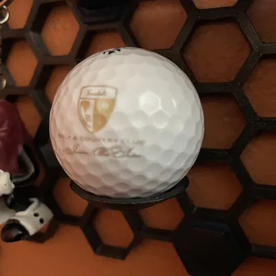 Giá đỡ bóng golf cho tường tổ ong HSW