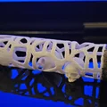 Thông điệp trong Voronoi với 5 bộ sọ di chuyển tự do - Thumbnail 4
