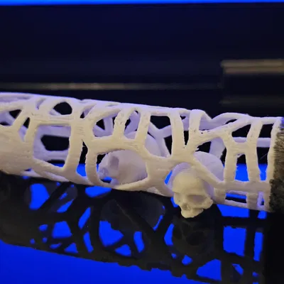 Thông điệp trong Voronoi với 5 bộ sọ di chuyển tự do