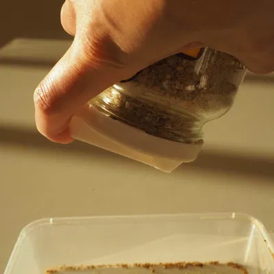 Bình đựng gia vị đo chính xác một thìa cà phê Mk2