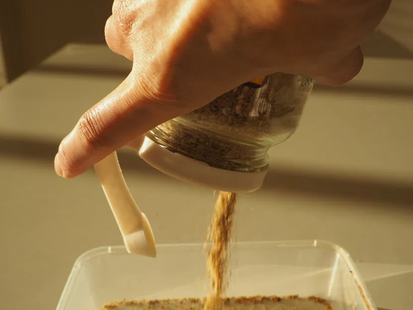 Bình đựng gia vị đo chính xác một thìa cà phê Mk2 - Image 3