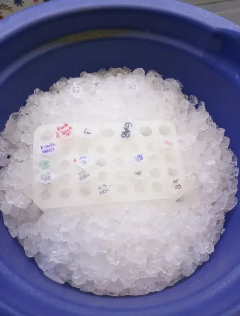 Giá đỡ Eppendorf giữ lạnh trong hộp đá - Image 1