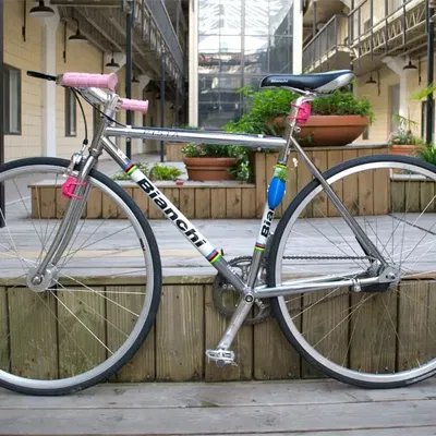 Chậu cây gắn xe đạp cho cuộc phiêu lưu