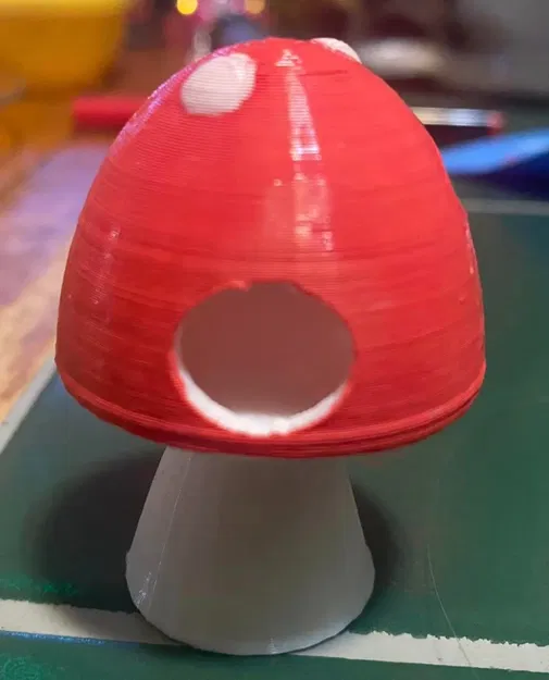 Nhà ở cho nhện nhảy đáng yêu - Image 1