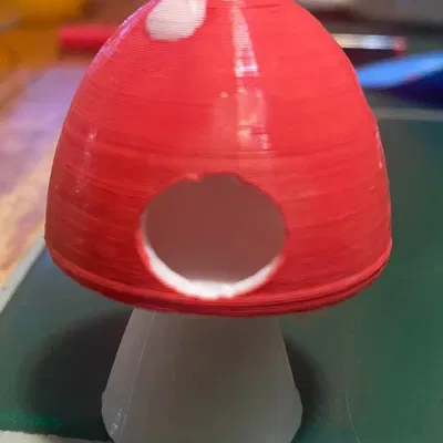 Nhà ở cho nhện nhảy đáng yêu