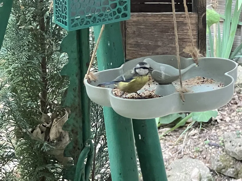 Đồ ăn cho chim và bồn tắm chim xinh xắn - Image 3