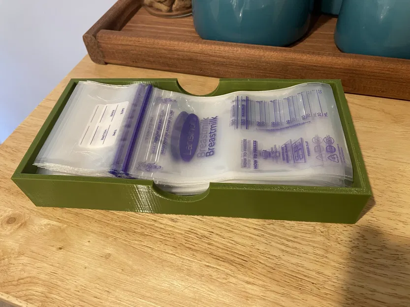 Hộp lưu trữ túi sữa Lansinoh cho mẹ bỉm sữa - Image 1
