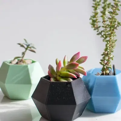 Chậu cây xương rồng hình lục giác trang trí bàn làm việc