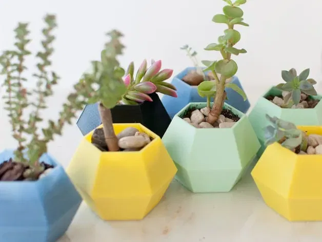 Chậu cây xương rồng hình lục giác trang trí bàn làm việc - Image 2